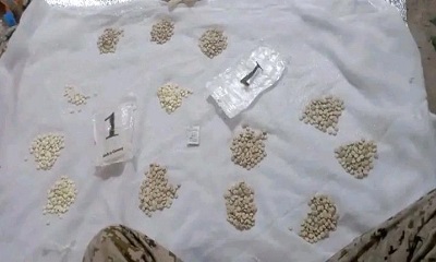 news_20260517_10.jpg
